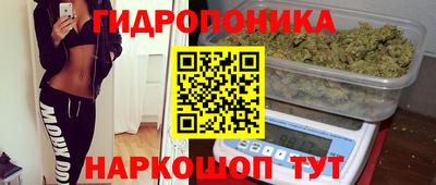 spice Славгород
